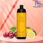 Augue adipiscing euismod – Image 2