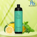 Augue adipiscing euismod – Image 3