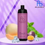 Henectus tincidunt - Image 2